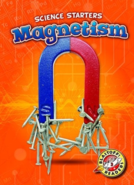 Magnetism by Carolyn Bernhardt (Hardback Book)