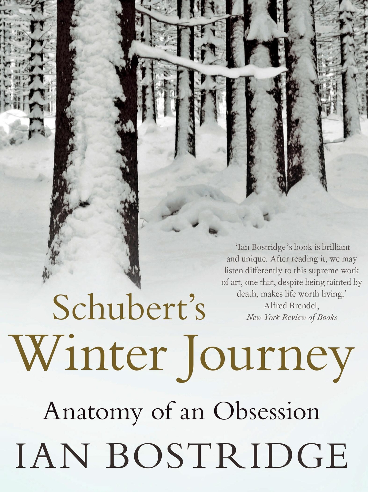 Thumbnail - Ian Bostridge | Schubert's Winter Journey | Taschenbuch | Englisch