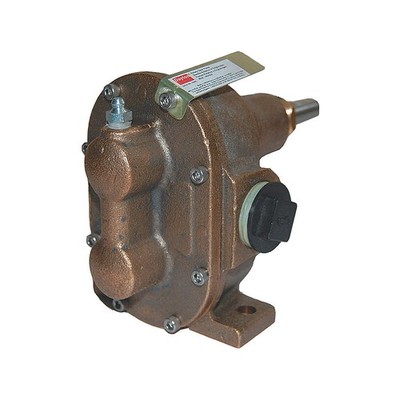 DAYTON 4KHG9 Rotary Gear Pump Head, 1 In., 1 HP 4KHG9