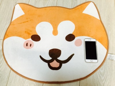 Anime Doge Carpet Flannel Lovely Dog Carpet Non Slip Door Mat Ebay