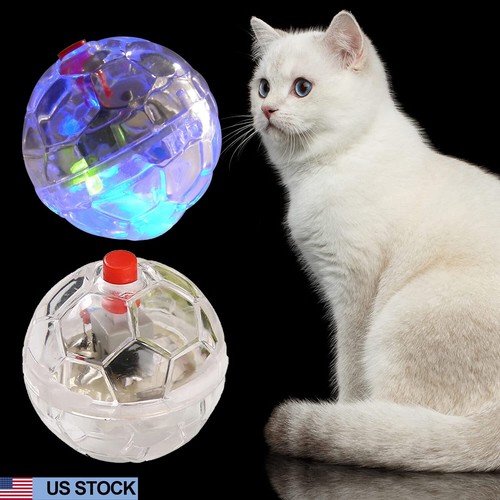flashing cat ball