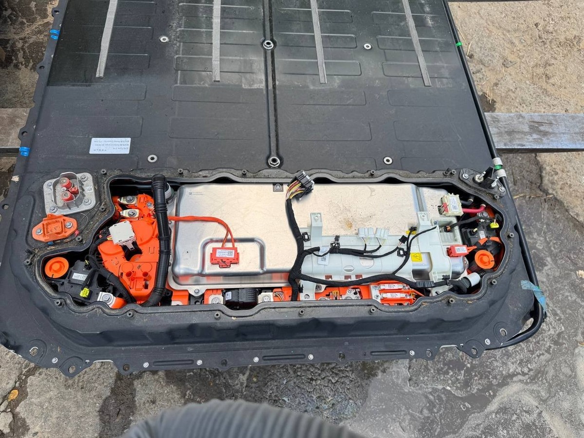 2017-2024 Tesla 3 RWD Standard Plus 60kWh Battery Pack 1666968-99