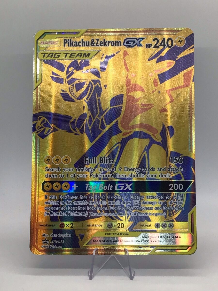 Pokemon Pikachu Zekrom 2