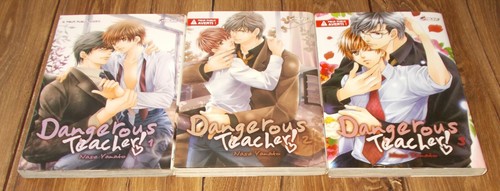 LOT MANGA DANGEROUS TEACHER TOMES 1 , 2 , 3 / TOUS PREMIERE EDITION