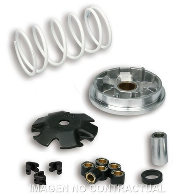 Wandler Malossi Multivar Peugeot Buxy, Zenith, Speedake Roller