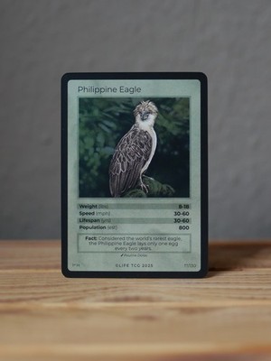 Life TCG Birds - Philippine Eagle 17/130 - Holo