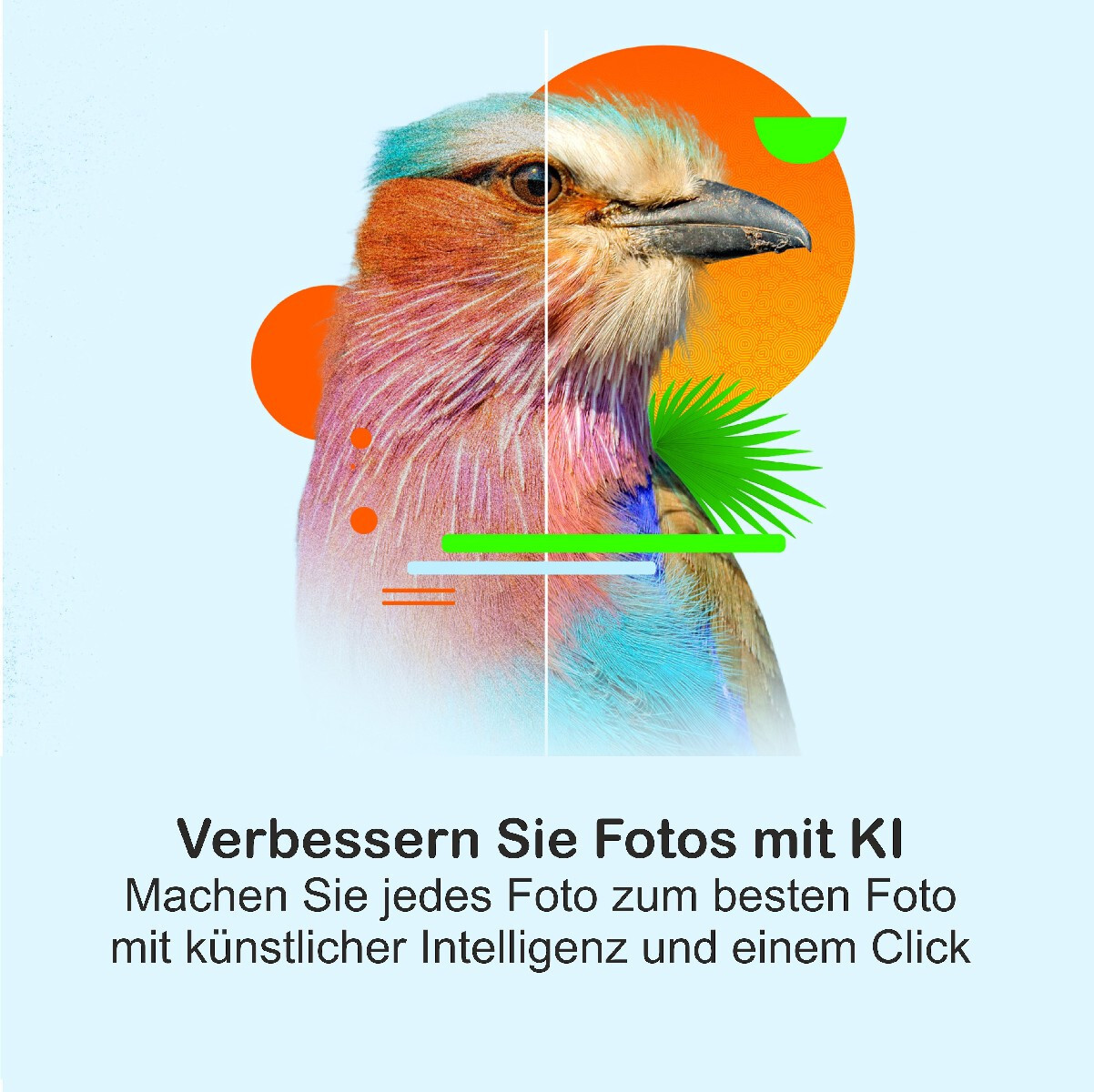 Bild 3 von 7