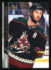Niklas Hjalmarsson 2020-21 Upper Deck #258 HOCKEY Card