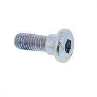 Schraube Vordere Bremsscheibe M8X24Mm FüR Daelim S2 125 FI Bj. 2008-2016