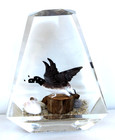 Vintage Hand Carved Painted 2 Geese in Lucite/Acrylic Unique Canada Paperweight — photo 3