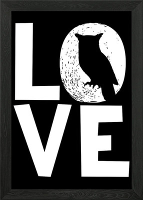 Owls Love Owl Nocturnal Framed Wall Art Poster Canvas Print Picture