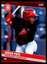 2025 Adrian Pinto MiLB Minor League Rookie Card Vancouver Canadians