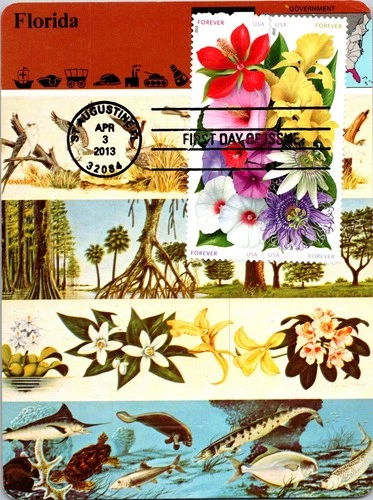 Dr Jim Stamps Maximum Card Block Of 4 La Florida Flowers Forever Fdc