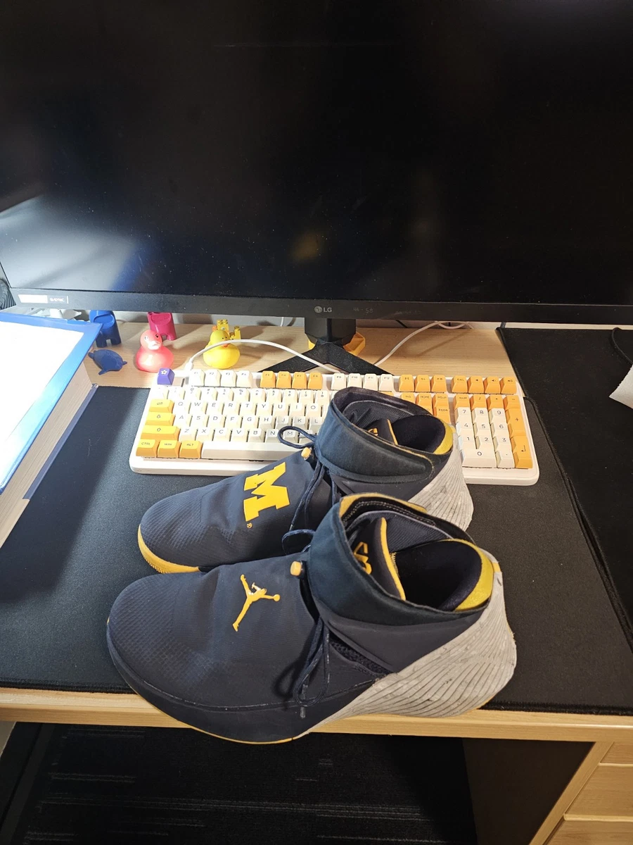 Jordan Why Not Zer0.1 Michigan for Sale | Authenticity Guaranteed