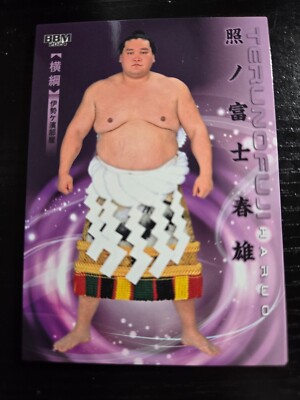 BBM Grand Sumo Trading Cards 2024 Series 2 Hibiki Individual Cards