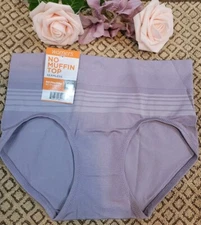 Warner's No Muffin Top Seamless Pinching No Problem Hipster Panty Size 5 nwt