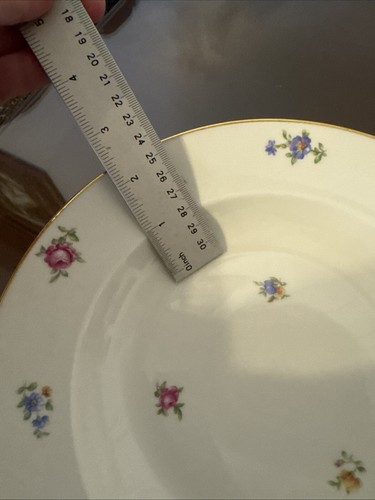 RARE Vtg H&CO Selb Baravia #47 Scattered Flowers Set Of 6 Rimmed Bowls Exc - Picture 3 of 17