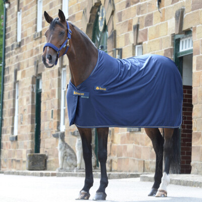 Bucas Panel Prize Cooler - Navy/Gold - Abschwitzfunktion