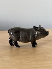 Royal Doulton Vietnamese Pot Bellied Pig