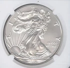 2018 W AMERICAN BURNISHED SILVER EAGLE - MS69