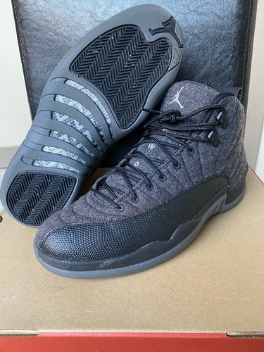 jordans 12 ebay