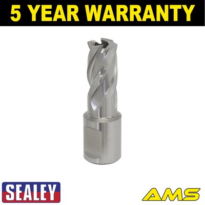 Sealey Worksafe �� 15 mm HSS Mag Bohrer Schnitttiefe 25 mm RBHSS15S
