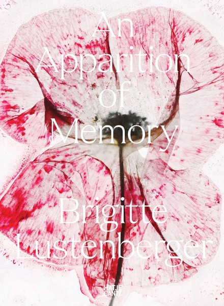 Brigitte Lustenberger An Apparition Of Memory Nadine Barth (U. A.) Taschenbuch-image