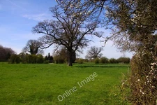 Photo 6x4 Field near Fulscot Manor Didcot  c2011