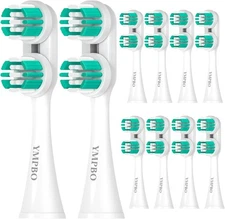 Replacement Heads Compatible with Spinbrush PRO 1 Count (Pack of 10), Green 