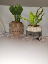 Greenhouse by Russ 12 Inch Plush Rubber Tree Plant and peace lily Pot 12
