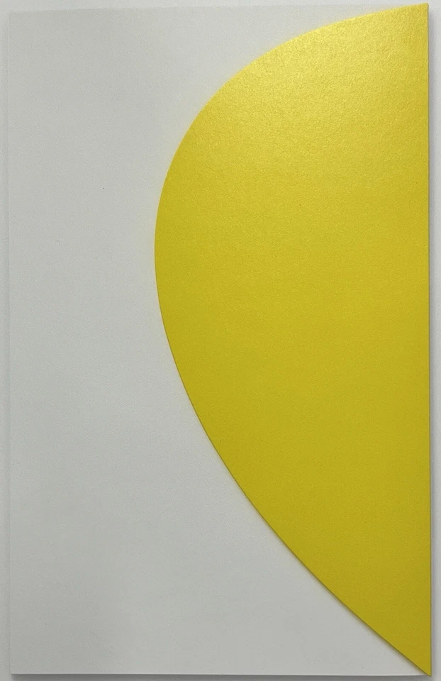 Litografía Heliograbado Relieve Amarillo Ellsworth Kelly Primera Edición Enmarcada 2012 Foto 3 de 4