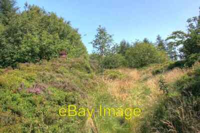 Foto 6x4 Kastendeich kalt Kirby der Norden eines Paares prähistorischer Bo c2008