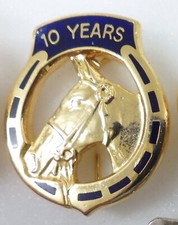 BHS Enamel Pin Badge EQUESTRIAN HORSES SHOW JUMPING 10 YEARS