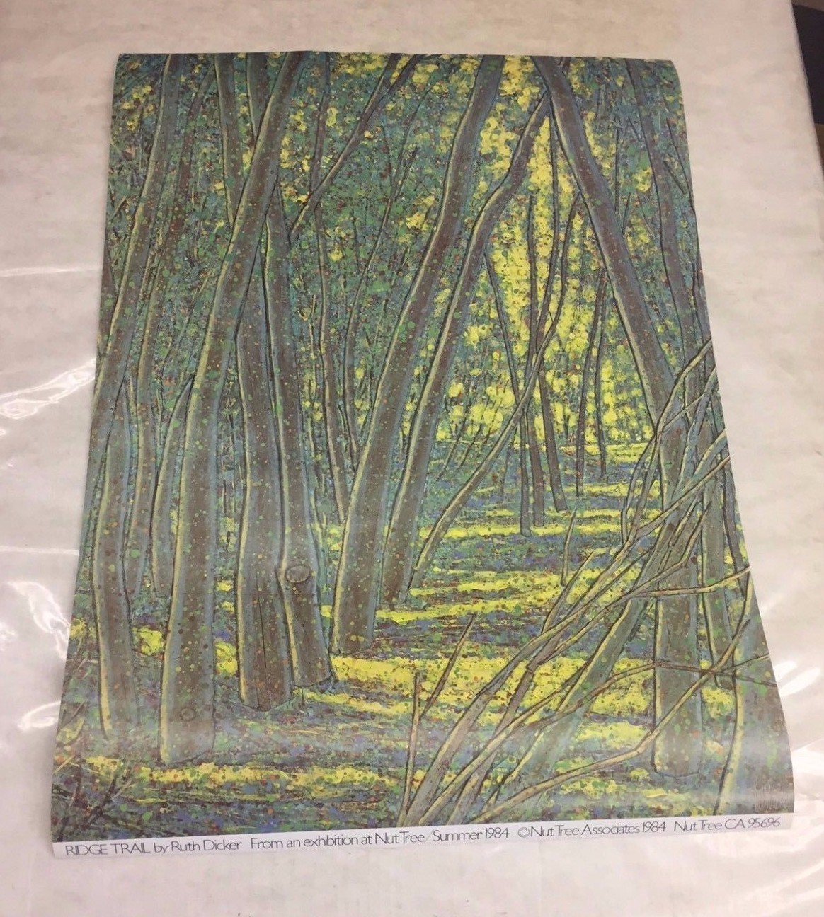 Vintage 1984 Ruth Dicker RIDGE TRAIL POSTER PRINT NUT TREE VACAVILLE CA