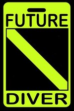 Personalized Hi-Viz Yellow "Future Diver" Luggage/Gear Bag Tag - New