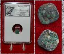Ancient Coin SAMARIA Helmeted Athena and Owl Silver Obol Rare Type of Owl Coin!