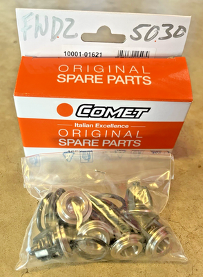 #ad Comet Pump Pressure Washer Check Valve O Ring Replacement FWD Series $107.42