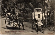  on The Hot Collector