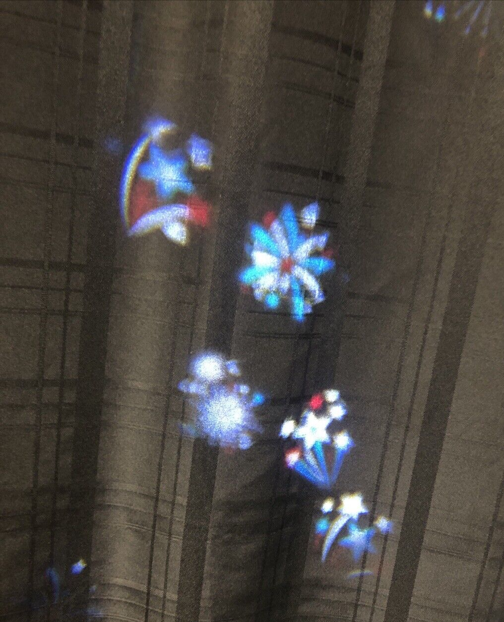 Picture 5 of 12