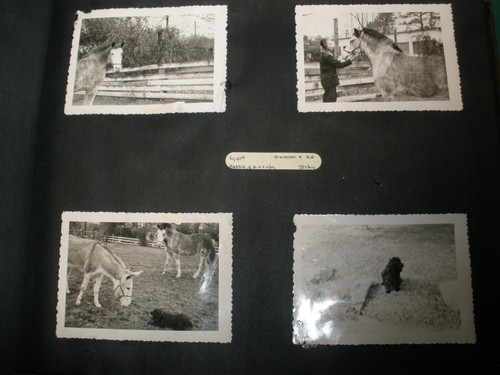 Vintage Scrapbook Photo Album 1951 (see full description & Photos) - Picture 11 of 13