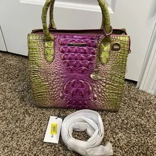 Brahmin Small Caroline Limeade Ombre Melbourne Genuine Leather Bag $325