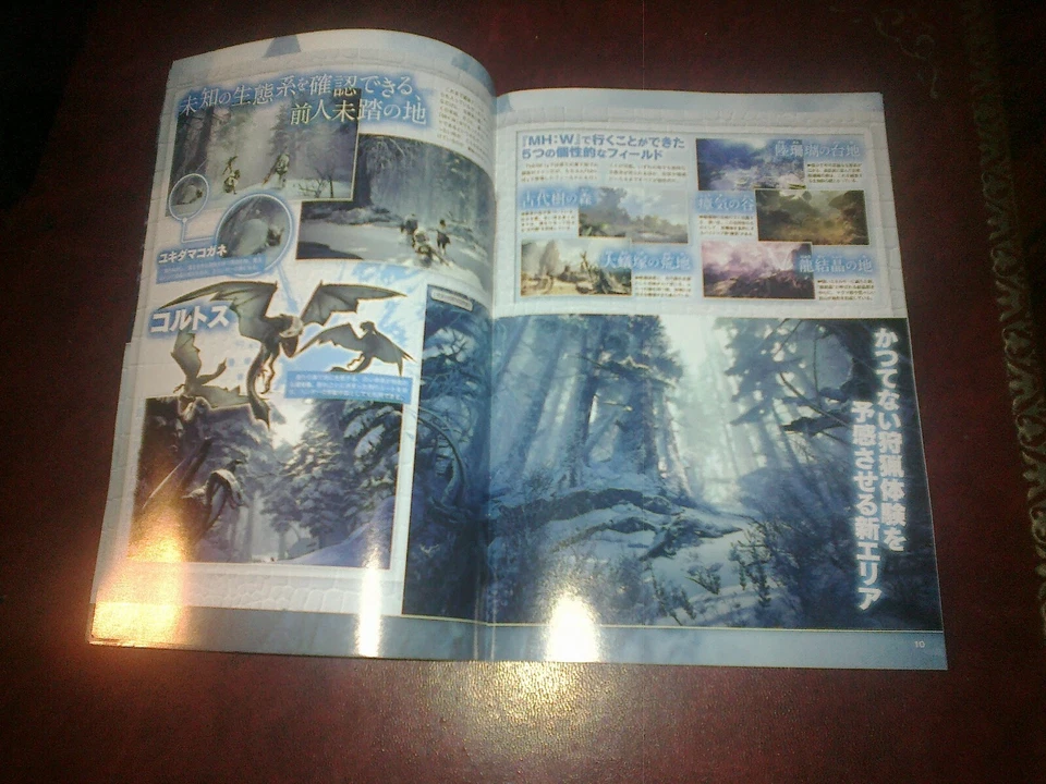 CAPCOM MONSTER HUNTER WORLD ICEBORNE TOKYO GAME SHOW MAGAZINE JAP TGS PROMO BOOK - Image 3 of 4