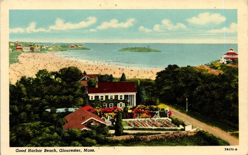 Vintage Massachusetts MA Postcard Bird's Eye View Good Harbor Beach Gloucester - Picture 1 of 3