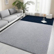 5x7 Area Rugs for Bedroom Living Room, Soft Thickened Memory Foam Carpet, Non...