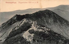 Giant Mountains Goat Back 1424 M Above Sea Level Postcard AK