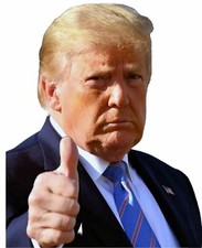 RIDE WITH PASSENGER TRUMP 2024 PERFORATED Sma...