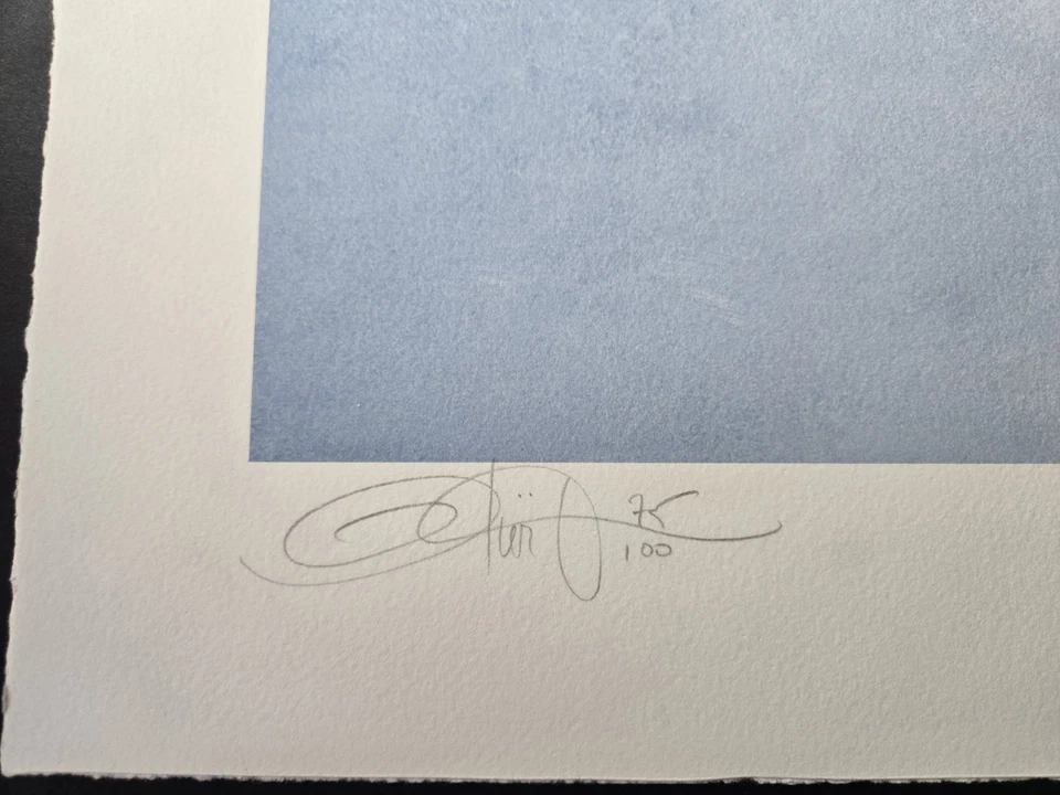 Giclee firmado Bettie Page Olivia DeBerardinis # 75/100 salsa caliente certificado de autenticidad BAS *LEER* Foto 3 de 4