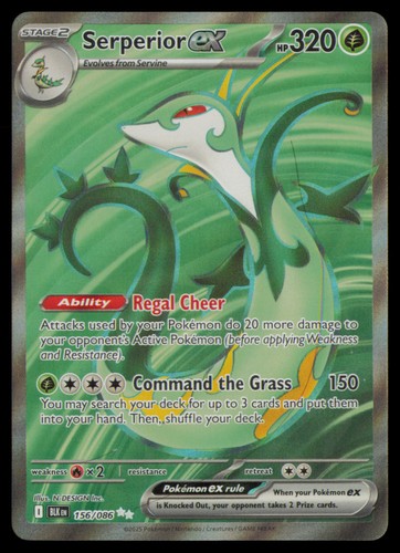 Serperior ex 156/086 Holo Ultra Rare Black Bolt Pokemon Near Mint