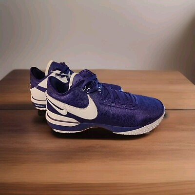 Purple Team Lebron Nike Nike Zoom LeBron NXXT Gen TB Promo Team
