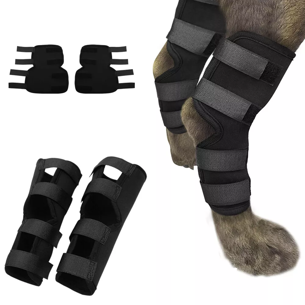 Dog Canine Rear Leg Knee Brace Hock Joint Wrap for Heals and
